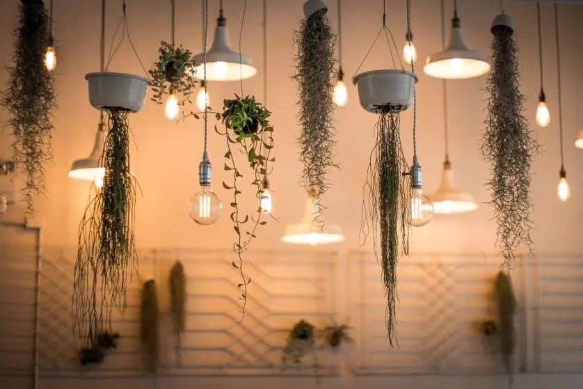 Styled space previewing new lighting collections